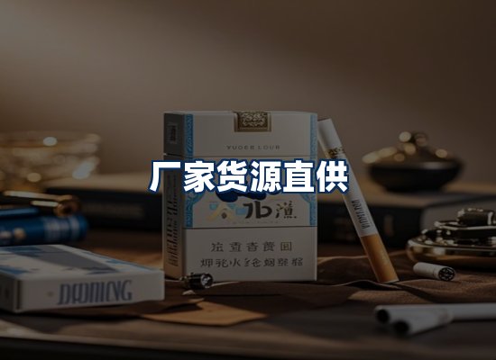 专业团队办公环境